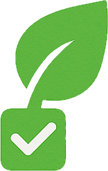 Simple Daily Habits for Better Wellness